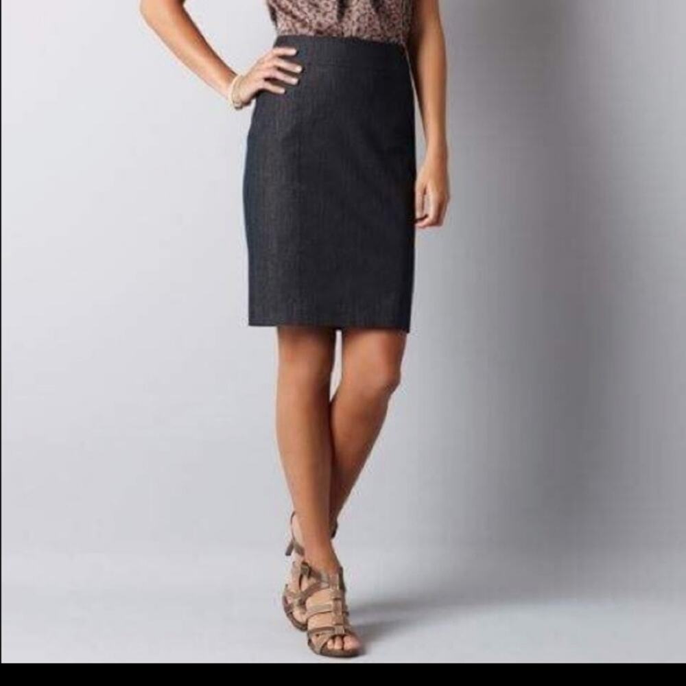 Loft Pencil Skirt Sz 4P